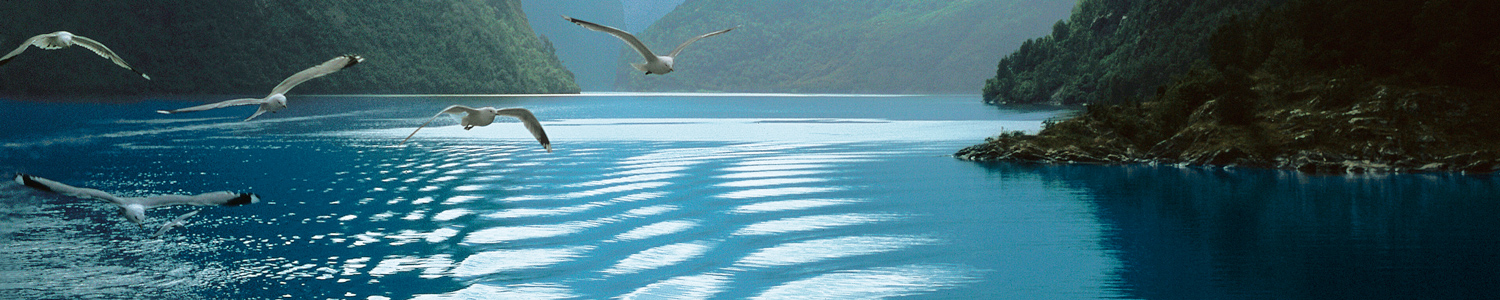 Kreuzfahrten mit TUI Cruises